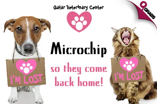 QR88 for a Microchip with Application at Qatar Veterinary Center (QR350 value)